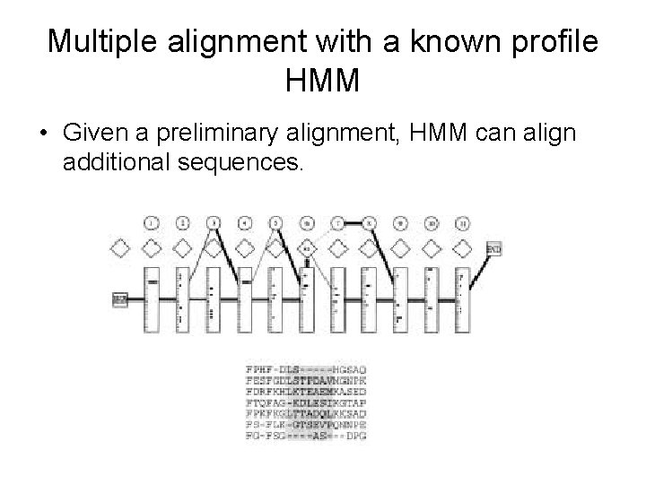 Multiple alignment with a known profile HMM • Given a preliminary alignment, HMM can