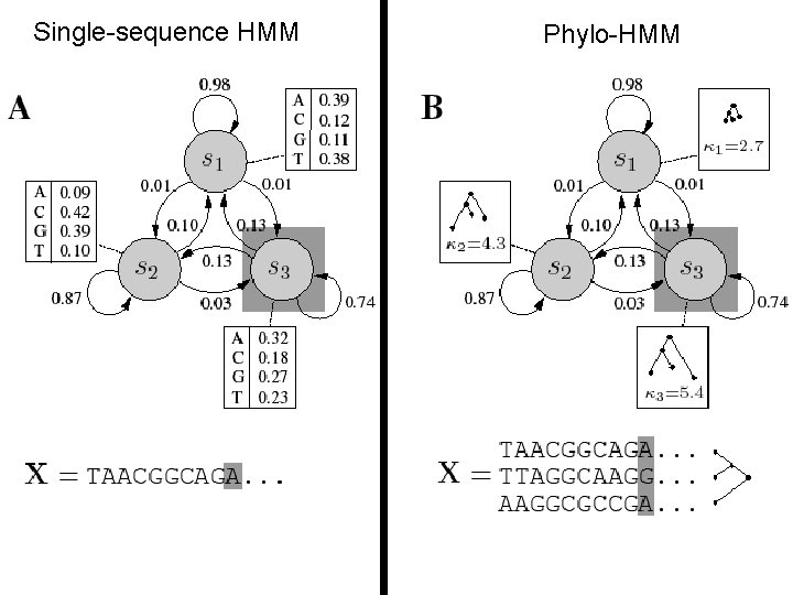 Single-sequence HMM Phylo-HMM 