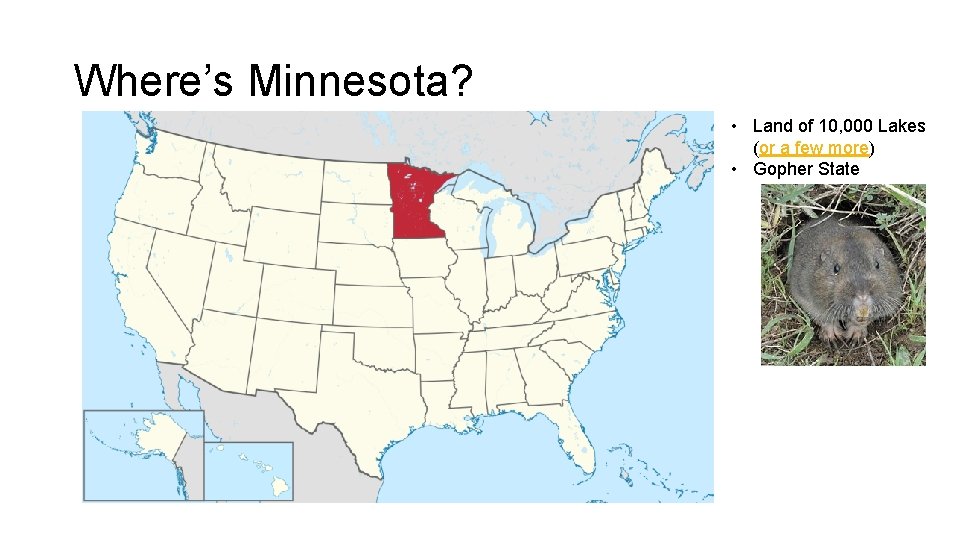 Where’s Minnesota? • Land of 10, 000 Lakes (or a few more) • Gopher