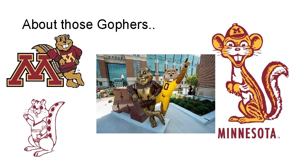 About those Gophers. . 
