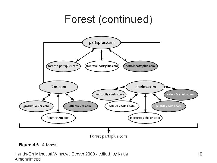 Forest (continued) Hands-On Microsoft Windows Server 2008 - edited by Nada Almohaimeed 18 