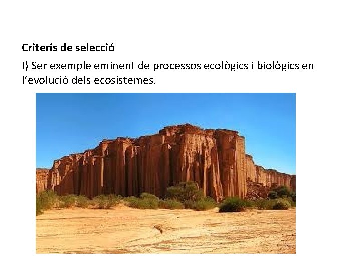 Criteris de selecció I) Ser exemple eminent de processos ecològics i biològics en l’evolució