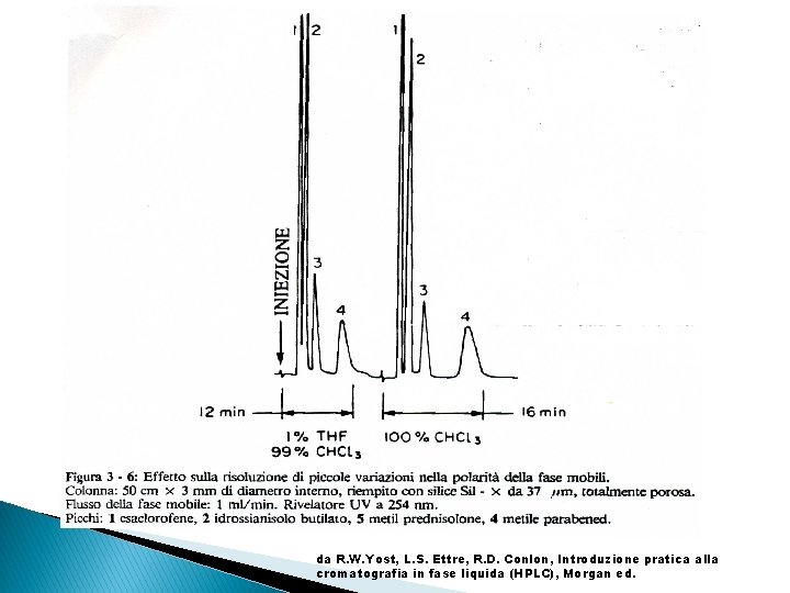 da R. W. Yost, L. S. Ettre, R. D. Conlon, Introduzione pratica alla cromatografia