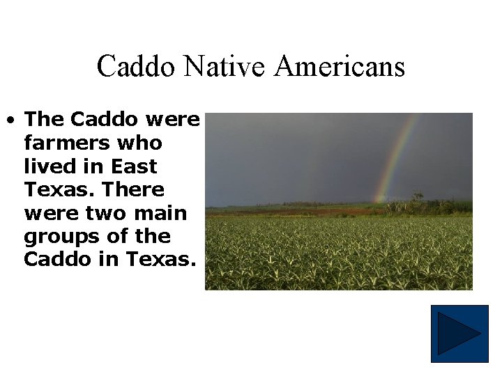 Caddo Native Americans • The Caddo were farmers who lived in East Texas. There