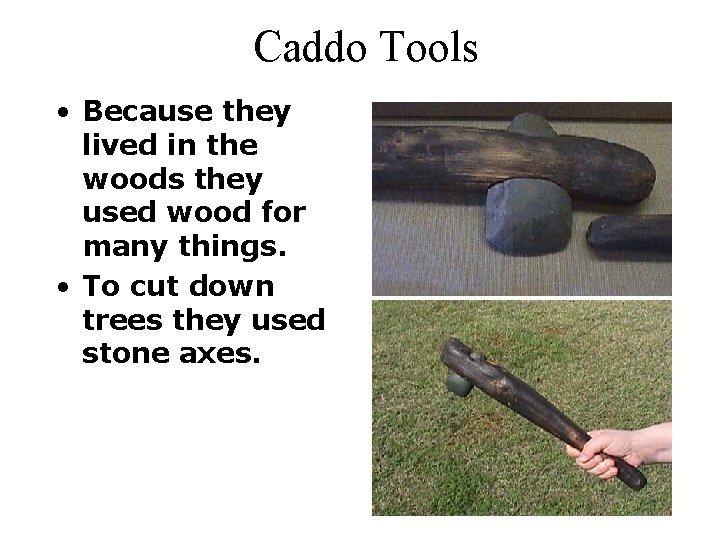 Caddo Tools • Because they lived in the woods they used wood for many