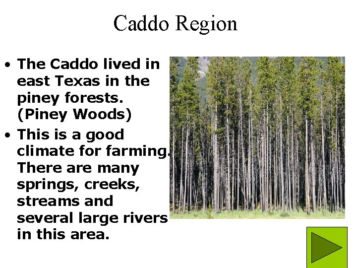 Caddo Region • The Caddo lived in east Texas in the piney forests. (Piney
