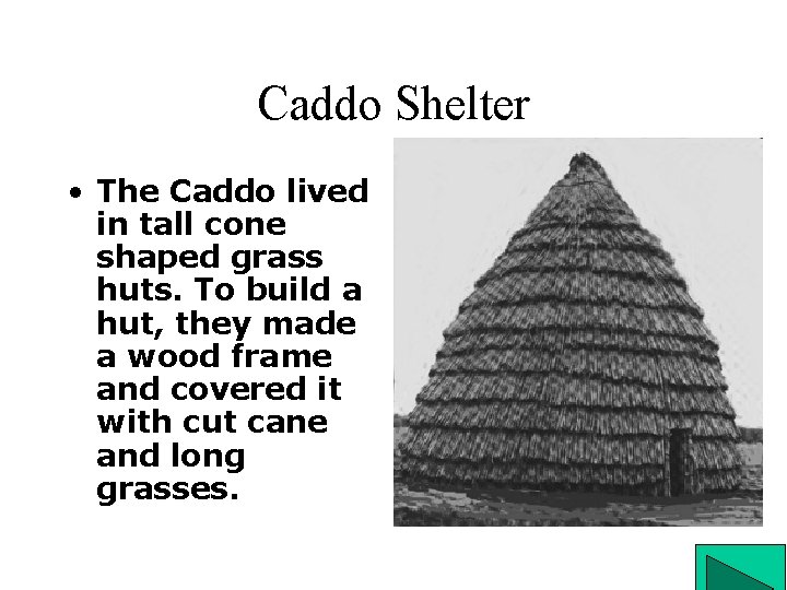 Caddo Shelter • The Caddo lived in tall cone shaped grass huts. To build