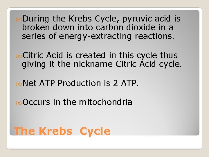  During the Krebs Cycle, pyruvic acid is broken down into carbon dioxide in