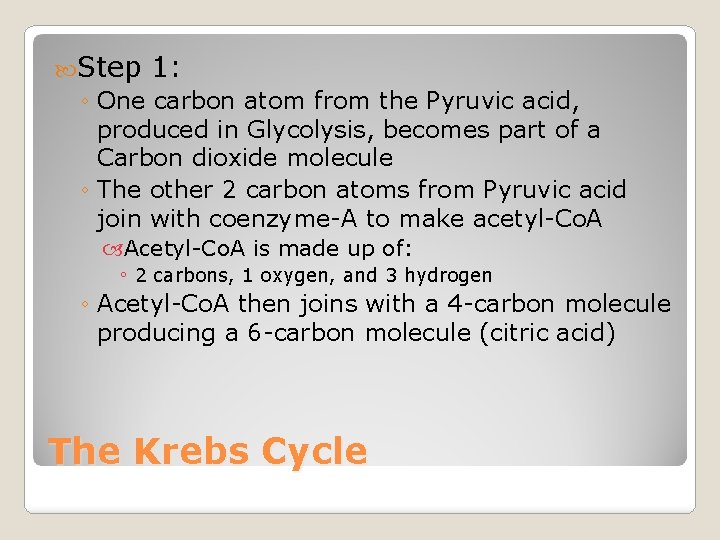  Step 1: ◦ One carbon atom from the Pyruvic acid, produced in Glycolysis,