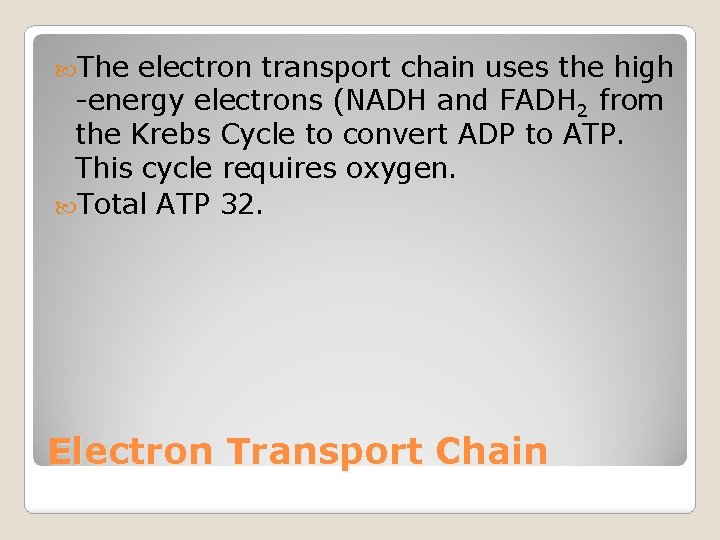  The electron transport chain uses the high -energy electrons (NADH and FADH 2