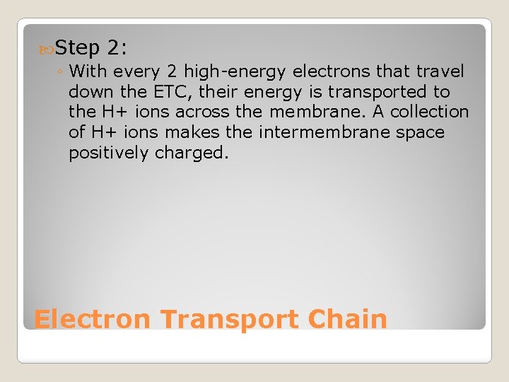  Step 2: ◦ With every 2 high-energy electrons that travel down the ETC,