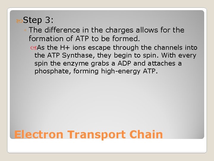  Step 3: ◦ The difference in the charges allows for the formation of