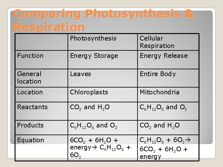 Comparing Photosynthesis & Respiration Photosynthesis Cellular Respiration Function Energy Storage Energy Release General location