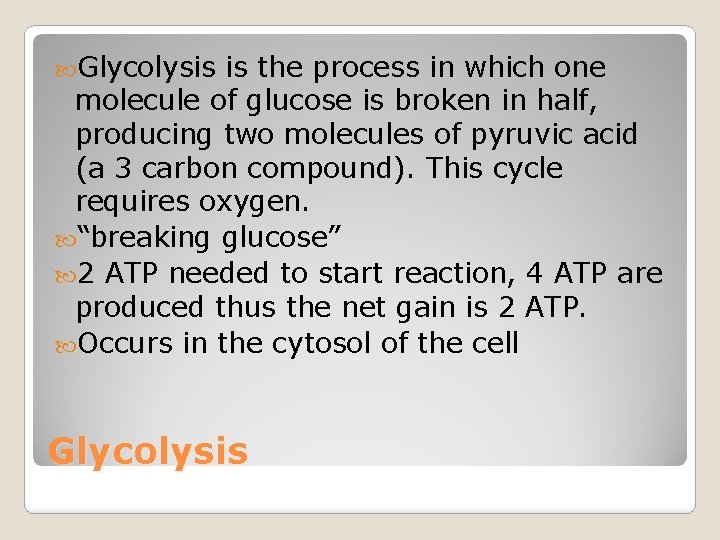  Glycolysis is the process in which one molecule of glucose is broken in