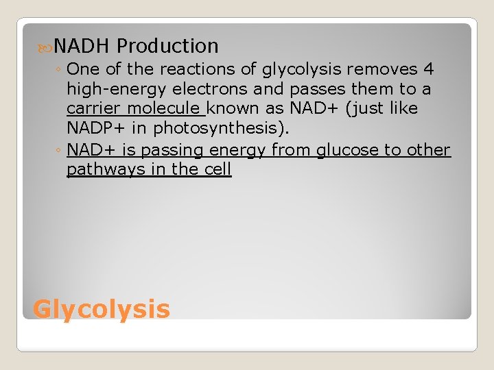  NADH Production ◦ One of the reactions of glycolysis removes 4 high-energy electrons