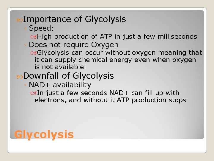  Importance of Glycolysis ◦ Speed: High production of ATP in just a few