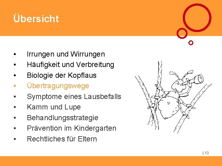 Übersicht • • • Irrungen und Wirrungen Häufigkeit und Verbreitung Biologie der Kopflaus Übertragungswege