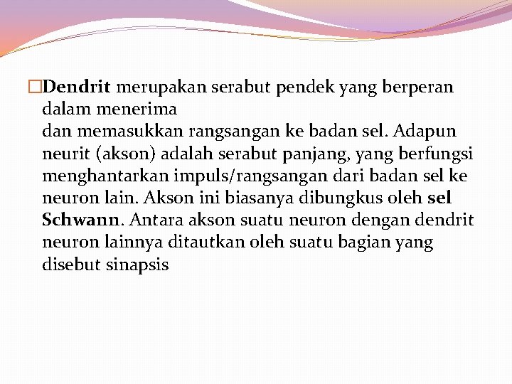 �Dendrit merupakan serabut pendek yang berperan dalam menerima dan memasukkan rangsangan ke badan sel.