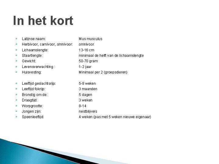 In het kort Latijnse naam: Mus musculus Herbivoor, carnivoor, omnivoor: omnivoor Lichaamslengte: 13 -16