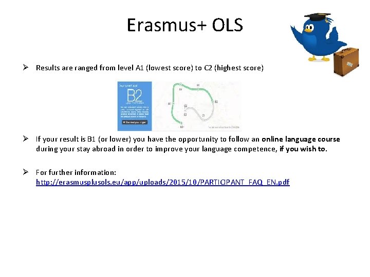 Erasmus+ OLS Ø Results are ranged from level A 1 (lowest score) to C