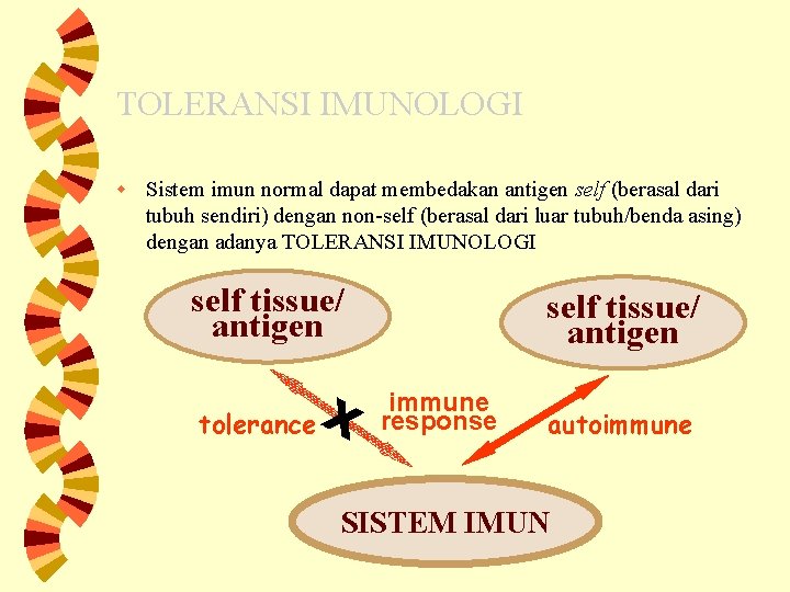 TOLERANSI IMUNOLOGI w Sistem imun normal dapat membedakan antigen self (berasal dari tubuh sendiri)