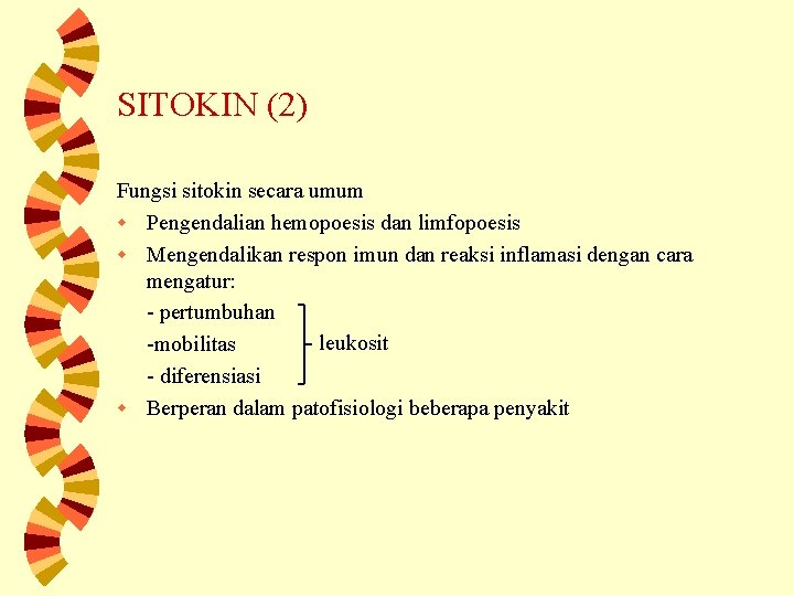 SITOKIN (2) Fungsi sitokin secara umum w Pengendalian hemopoesis dan limfopoesis w Mengendalikan respon