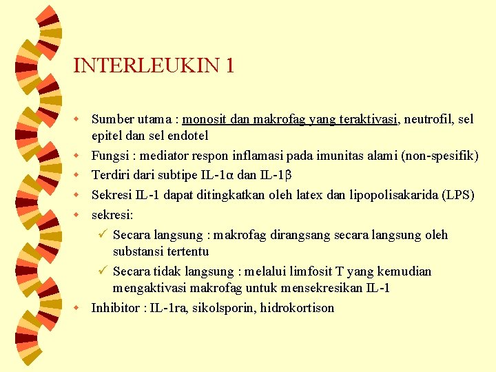 INTERLEUKIN 1 w w w Sumber utama : monosit dan makrofag yang teraktivasi, neutrofil,