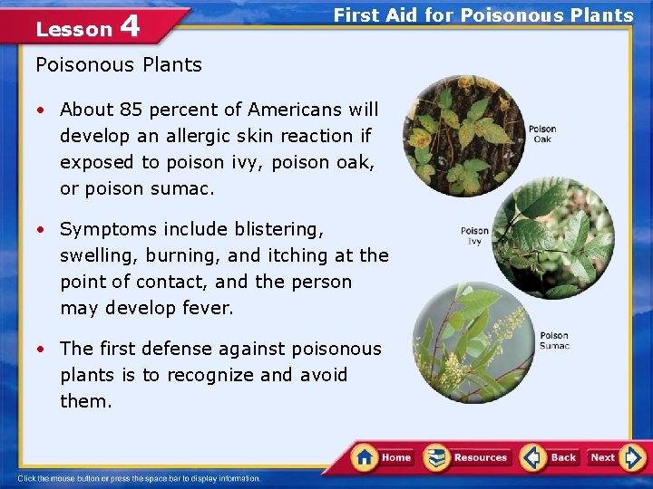 Lesson 4 First Aid for Poisonous Plants • About 85 percent of Americans will