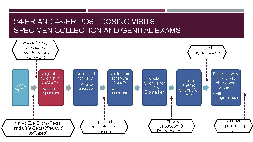 24 -HR AND 48 -HR POST DOSING VISITS: SPECIMEN COLLECTION AND GENITAL EXAMS Pelvic