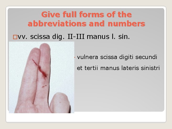 Give full forms of the abbreviations and numbers �vv. scissa dig. II-III manus l.