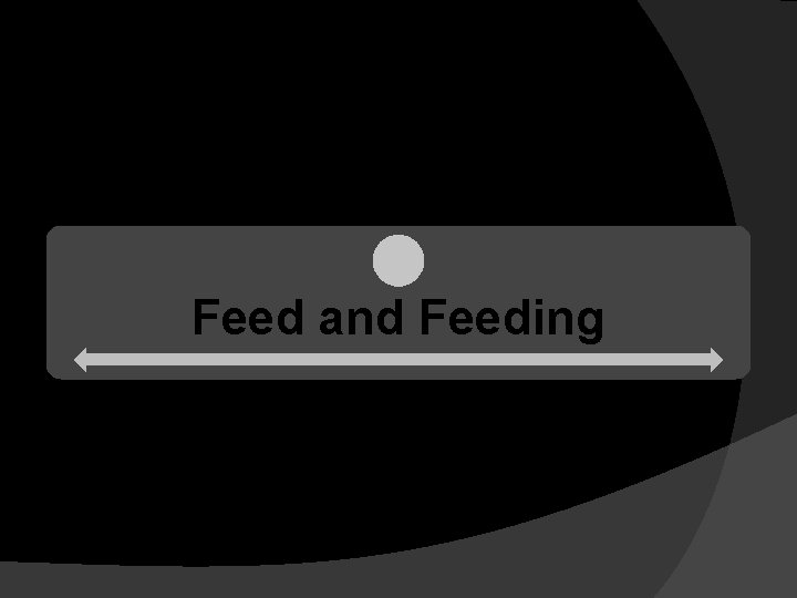 Feed and Feeding 