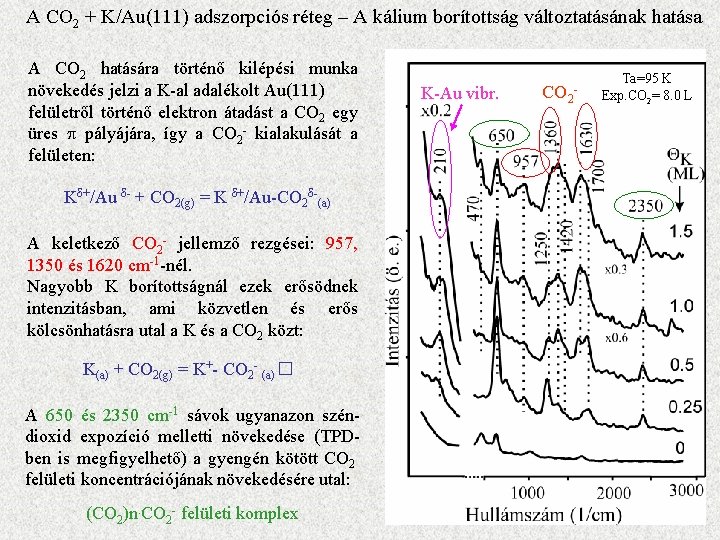 A CO 2 + K/Au(111) adszorpciós réteg – A kálium borítottság változtatásának hatása A