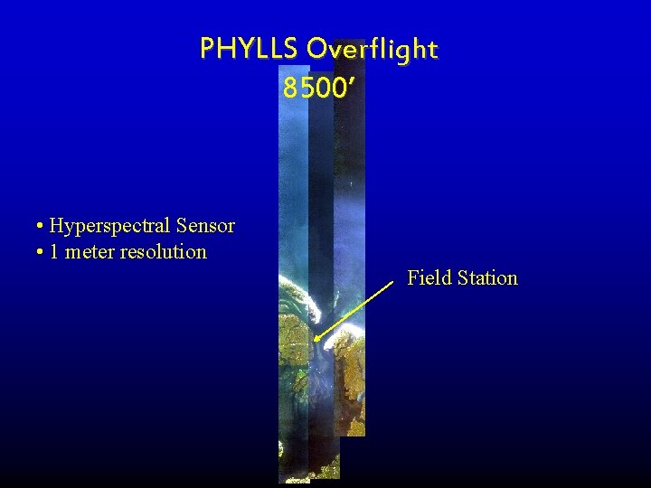 PHYLLS Overflight 8500’ • Hyperspectral Sensor • 1 meter resolution Field Station PHYLLS Overflight 8500’ • Hyperspectral Sensor • 1 meter resolution Field Station