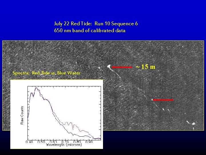 July 22 Red Tide: Run 10 Sequence 6 650 nm band of calibrated data July 22 Red Tide: Run 10 Sequence 6 650 nm band of calibrated data