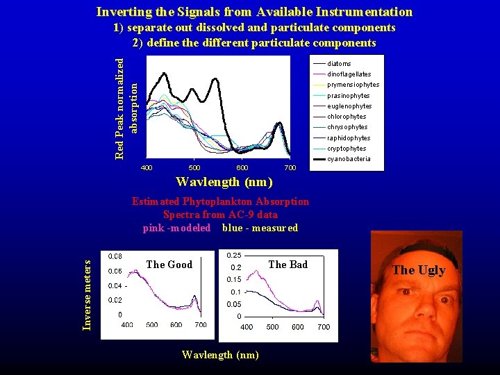 Inverting the Signals from Available Instrumentation Red Peak normalized absorption 1) separate out dissolved Inverting the Signals from Available Instrumentation Red Peak normalized absorption 1) separate out dissolved