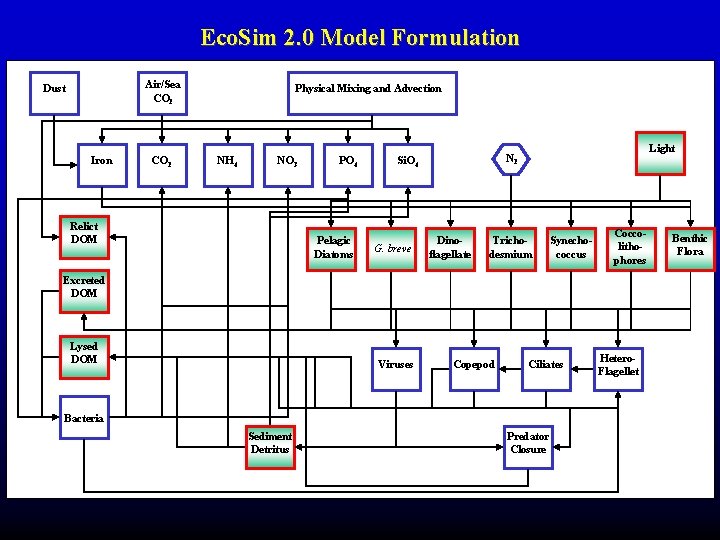 Eco. Sim 2. 0 Model Formulation Air/Sea CO 2 Dust Iron CO 2 Physical Eco. Sim 2. 0 Model Formulation Air/Sea CO 2 Dust Iron CO 2 Physical