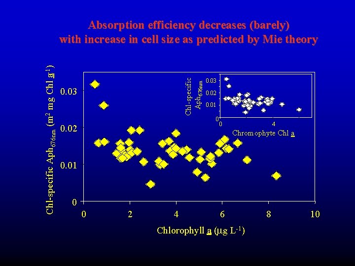 Chl-specific Aph 676 nm (m 2 mg Chl a-1) Absorption efficiency decreases (barely) with Chl-specific Aph 676 nm (m 2 mg Chl a-1) Absorption efficiency decreases (barely) with