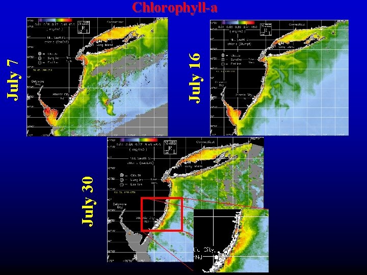 July 30 July 16 July 7 Chlorophyll-a July 30 July 16 July 7 Chlorophyll-a