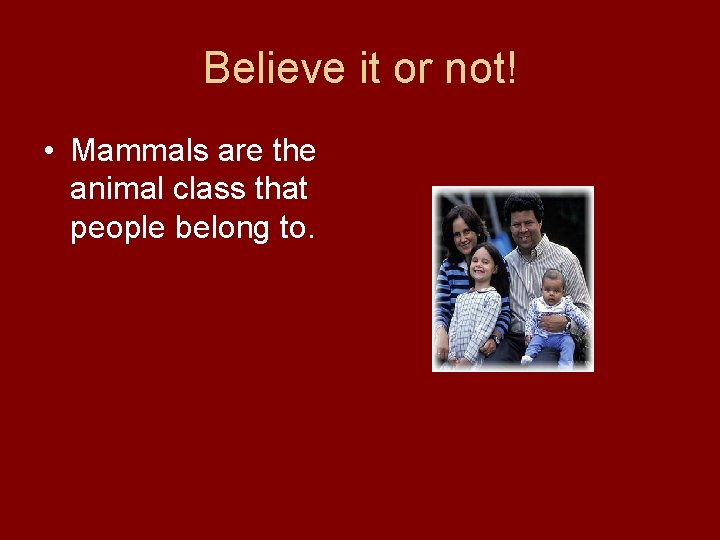 Believe it or not! • Mammals are the animal class that people belong to.