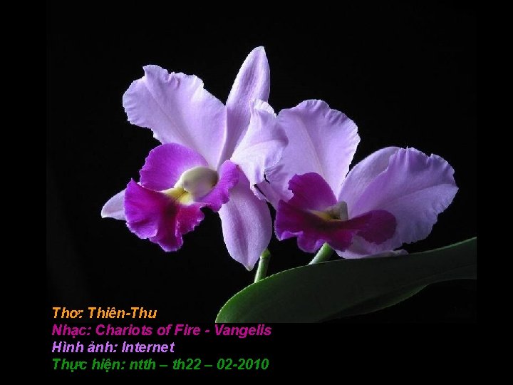 Thơ: Thiên-Thu Nhạc: Chariots of Fire - Vangelis Hình ảnh: Internet Thực hiện: ntth