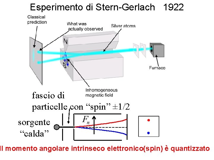 Esperimento di Stern-Gerlach 1922 fascio di particelle con “spin” ± 1/2 sorgente “calda” Il