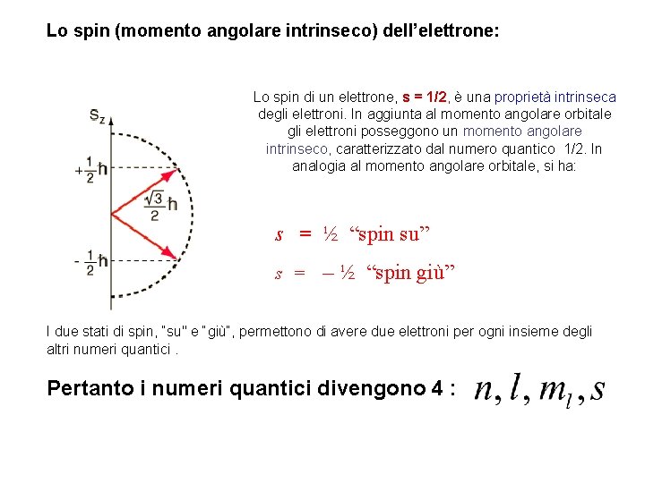 Lo spin (momento angolare intrinseco) dell’elettrone: Lo spin di un elettrone, s = 1/2,