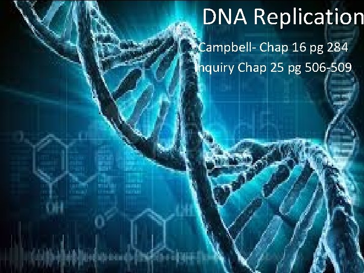 DNA Replication Campbell- Chap 16 pg 284 Inquiry Chap 25 pg 506 -509 