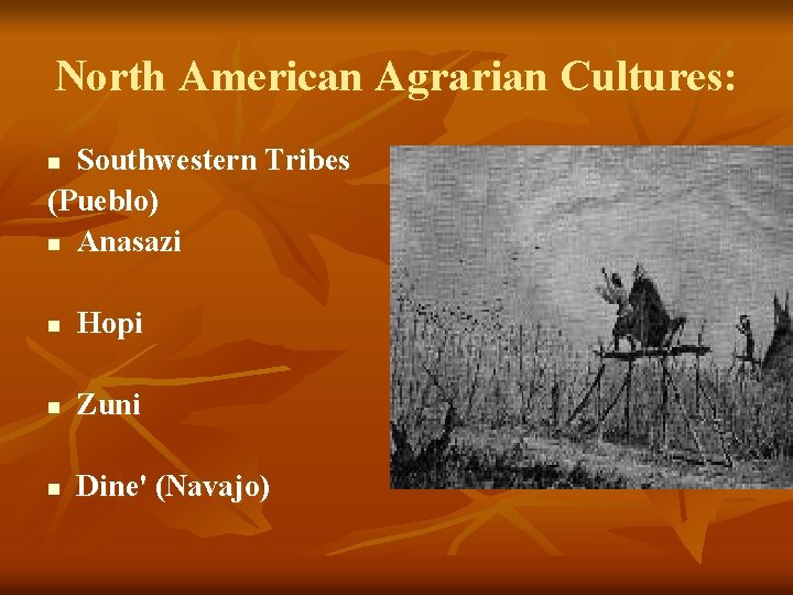 North American Agrarian Cultures: Southwestern Tribes (Pueblo) n Anasazi n n Hopi n Zuni