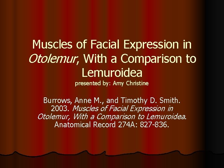 Muscles of Facial Expression in Otolemur, With a Comparison to Lemuroidea presented by: Amy