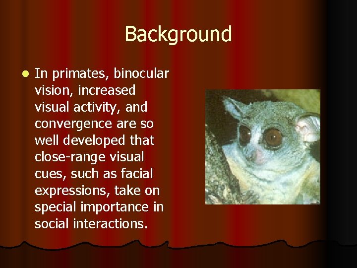 Background l In primates, binocular vision, increased visual activity, and convergence are so well