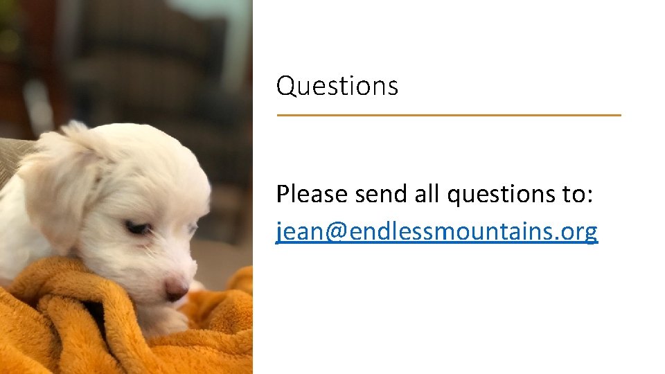 Questions Please send all questions to: jean@endlessmountains. org 