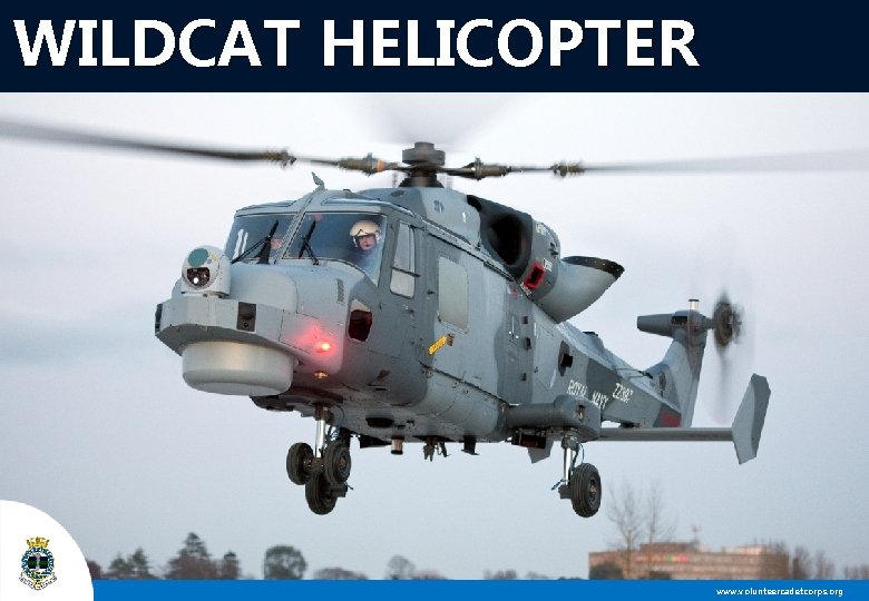 WILDCAT HELICOPTER www. volunteercadetcorps. org 