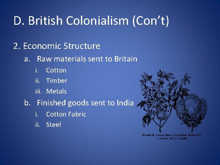 D. British Colonialism (Con’t) 2. Economic Structure a. Raw materials sent to Britain i.