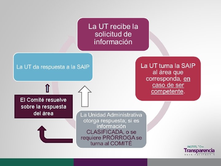 El Comité resuelve sobre la respuesta del área 